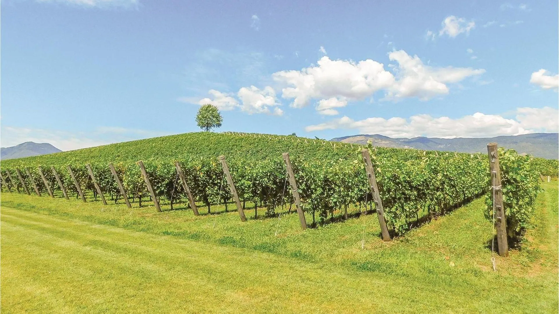Holiday home Villacolli Valnogaredo Italy